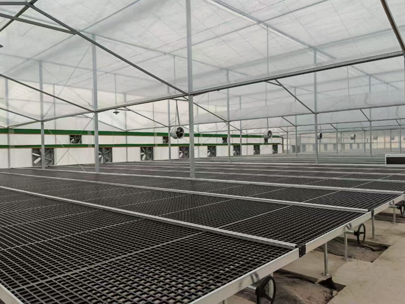 plastic uv greenhouse