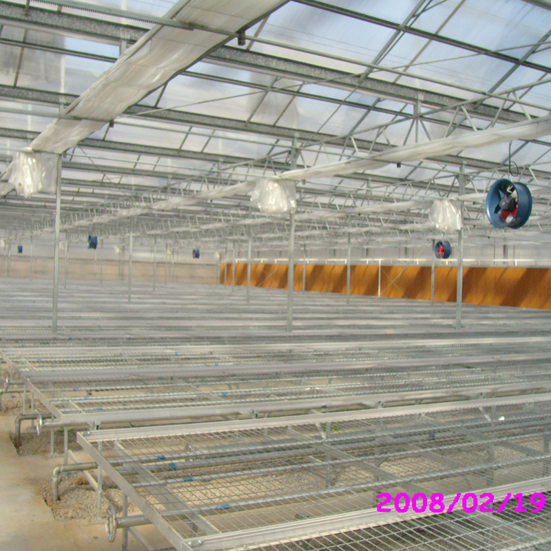 Large Span Polycarbonate Greenhouse Large Span Polycarbonate Greenhouse