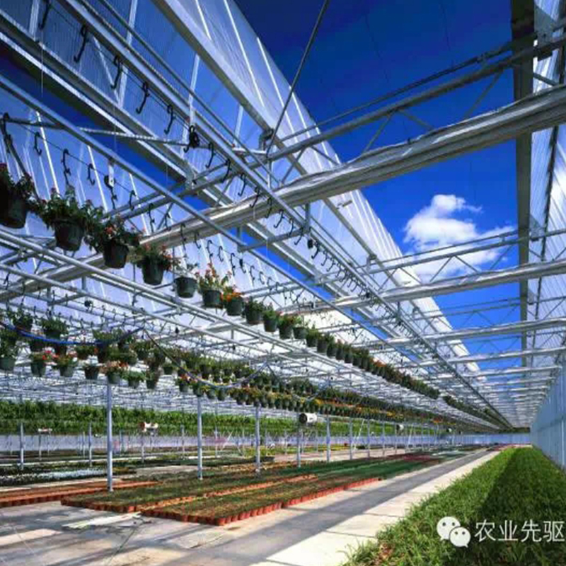 Venlo Glass Greenhouse Venlo Glass Greenhouse