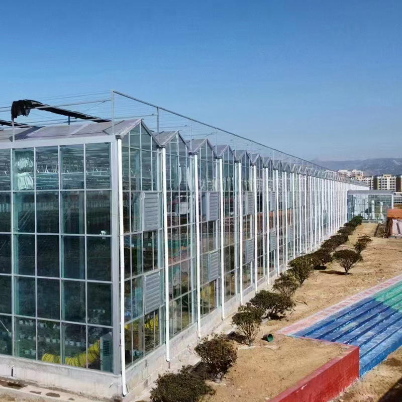 All-aluminum Glass Greenhouse All-aluminum Glass Greenhouse