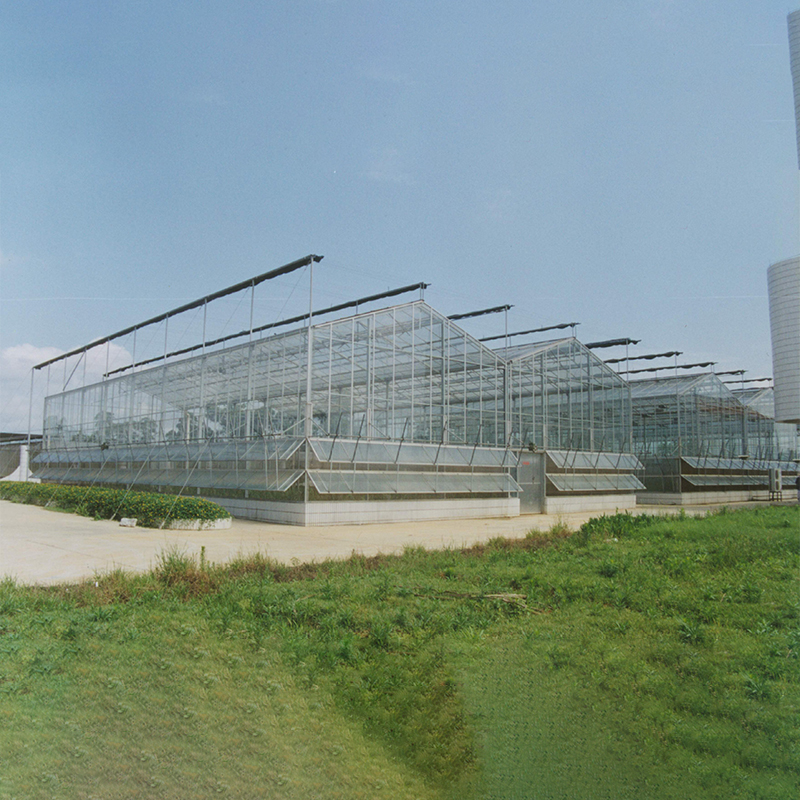 Large Span Glass Greenhouse Large Span Glass Greenhouse