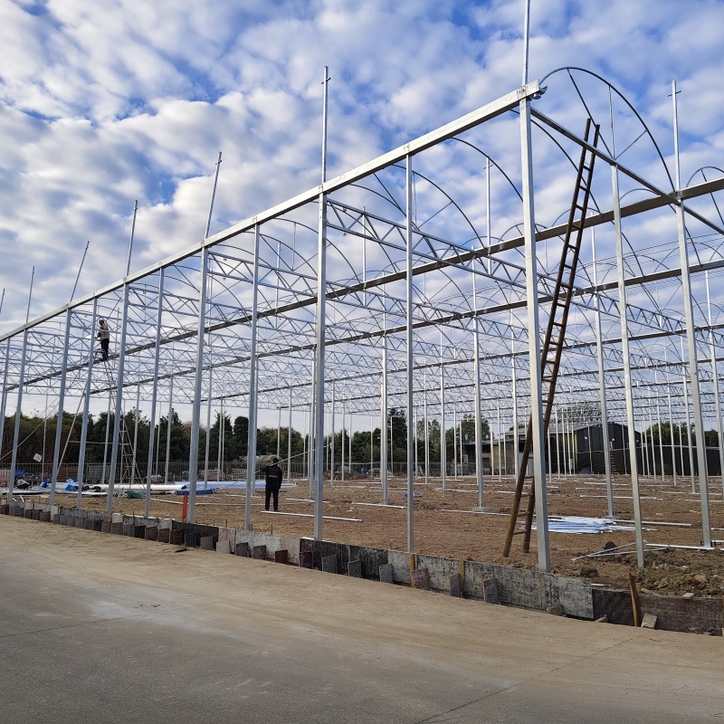 Advantages and uses of sawtooth metal frame plastic greenhouse