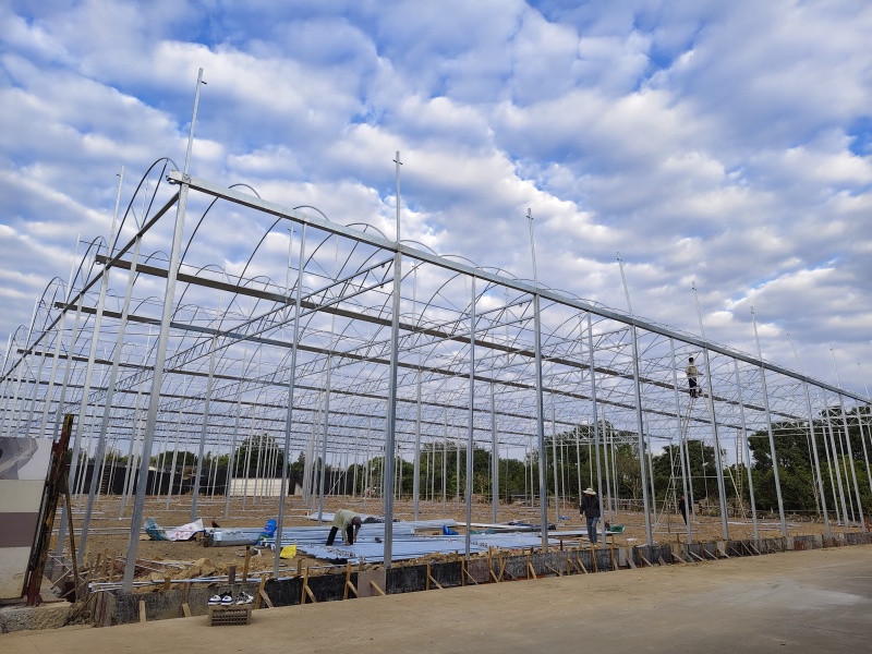 greenhouse with pvc cover