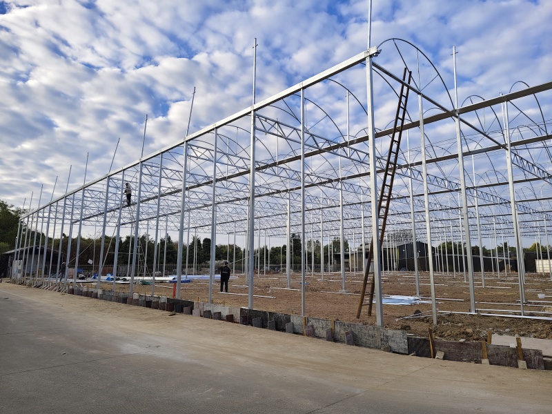 greenhouse with pvc cover