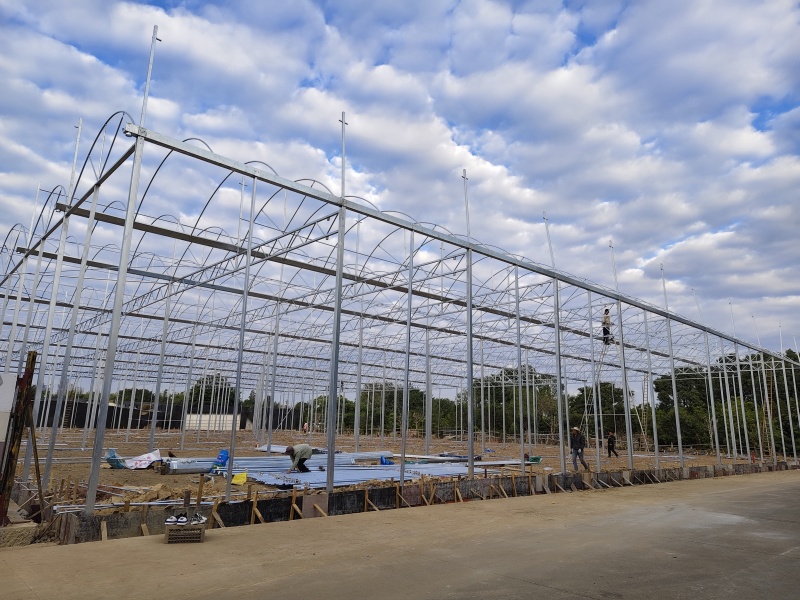 metal frame plastic greenhouse