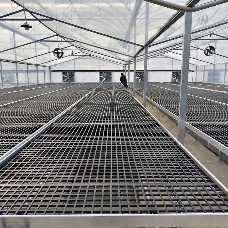 The 3,000 square meter plastic polytunnel for flower was completed in Nanhai