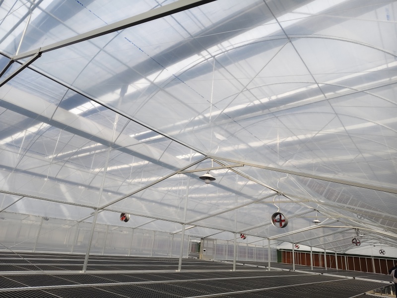 plastic polytunnel greenhouse plastic polytunnel greenhouse