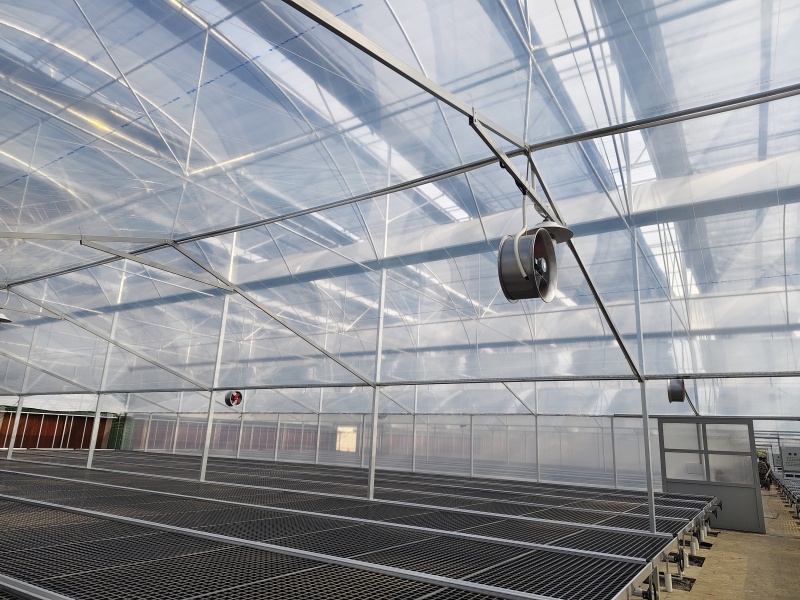 strong plastic greenhouse strong plastic greenhouse