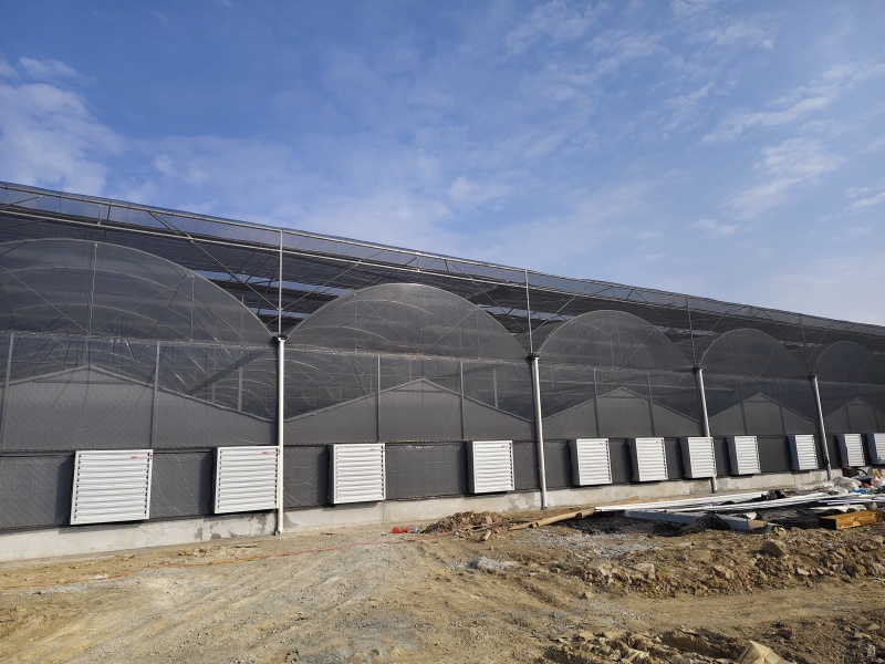 polypropylene greenhouse polypropylene greenhouse