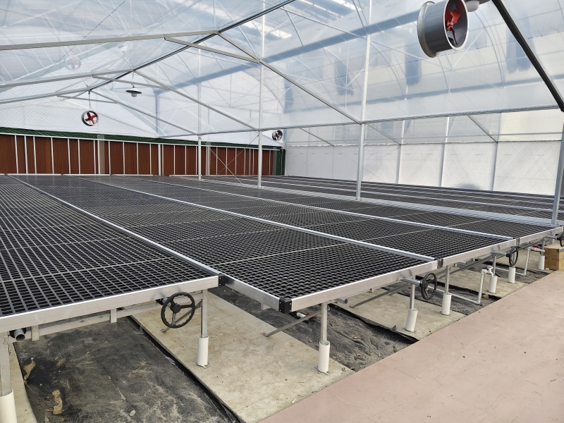 strong plastic greenhouse strong plastic greenhouse