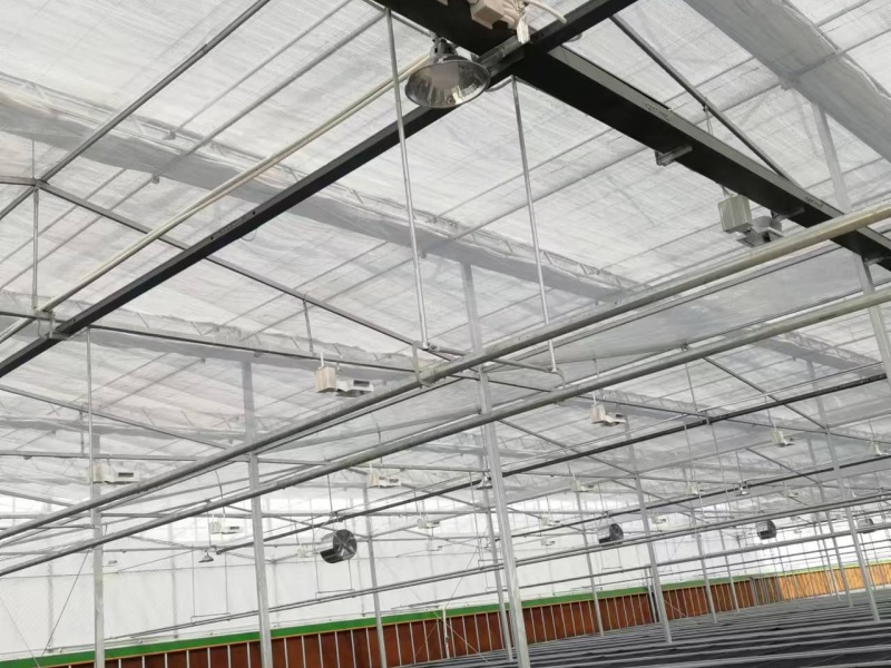 hydroponic farming
