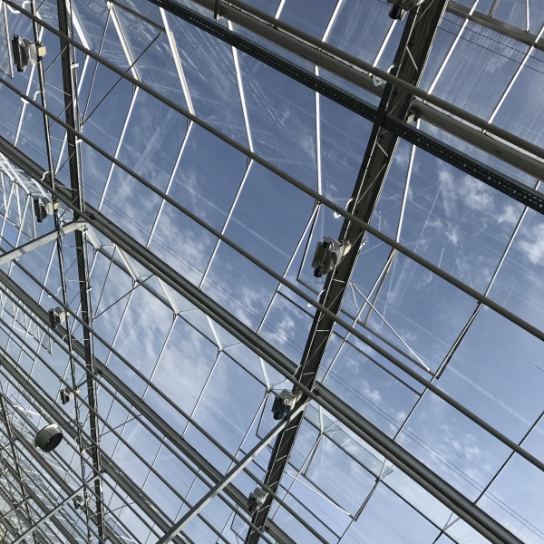 greenhouse with pvc cover