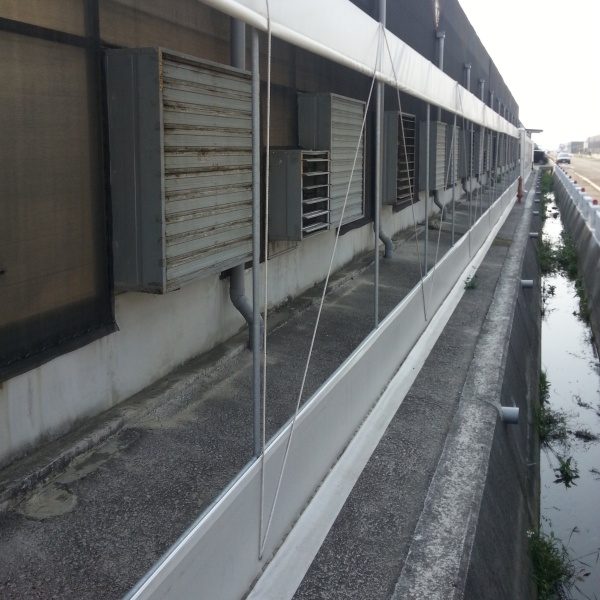 plastic tunnel greenhouse plastic tunnel greenhouse