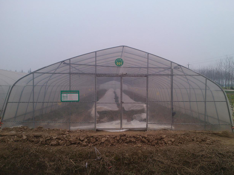 plastic tunnel greenhouse plastic tunnel greenhouse
