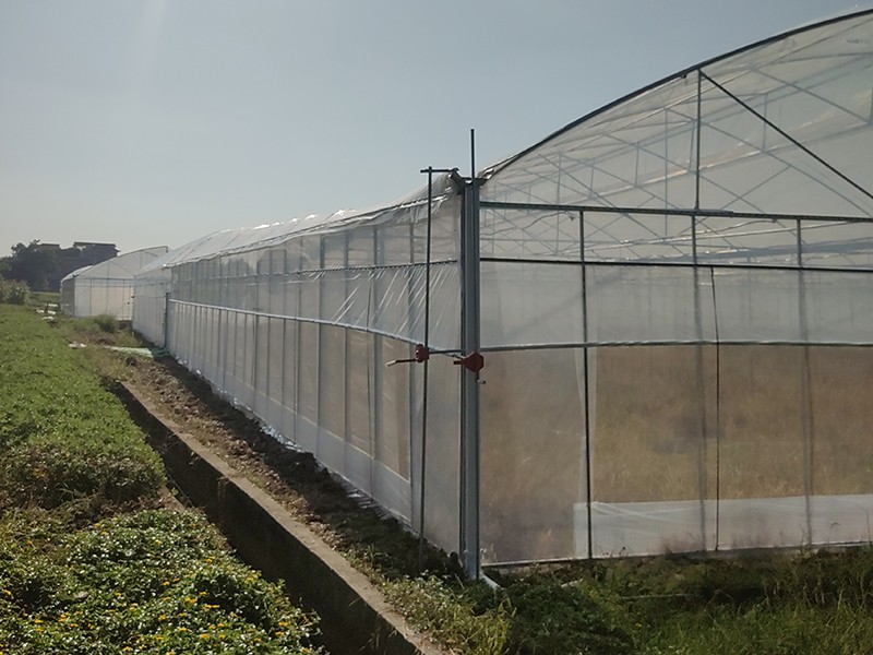 small plastic greenhouse