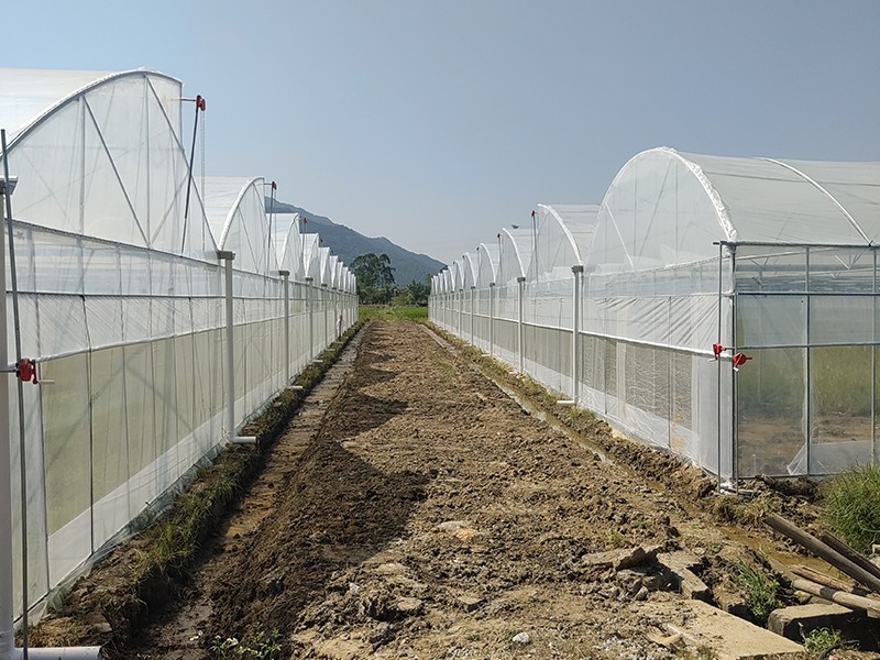 plastic greenhouse