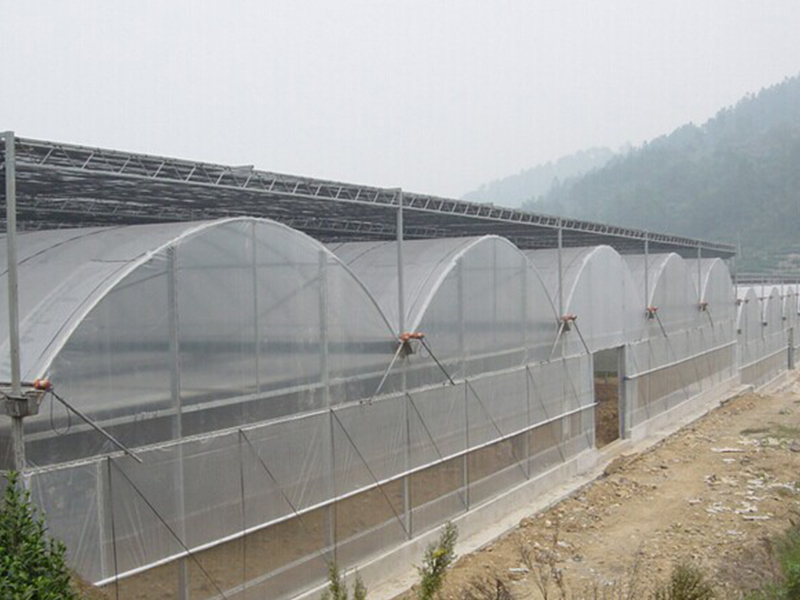plastic greenhouse