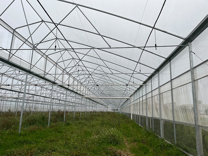 greenhouse with pvc cover
