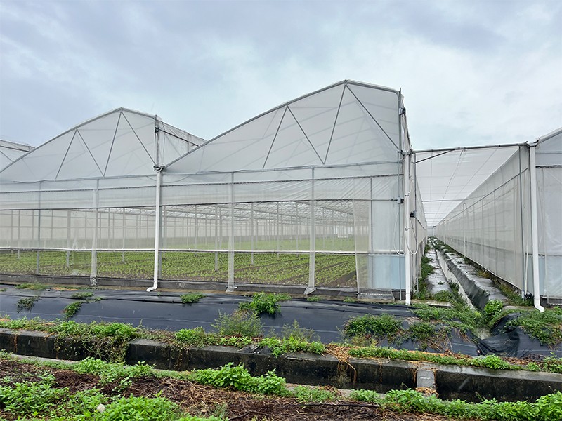 metal frame plastic greenhouse