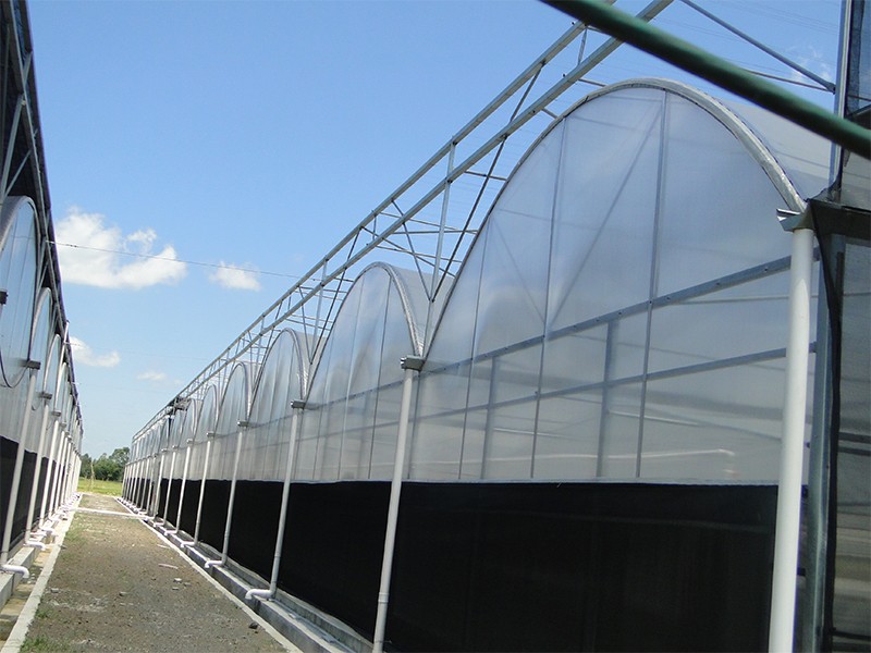 polypropylene greenhouse polypropylene greenhouse