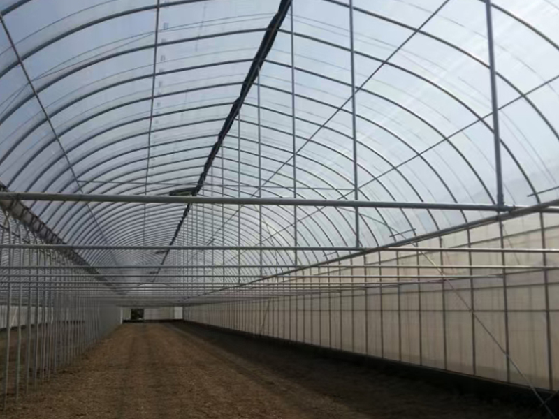 strong plastic greenhouse strong plastic greenhouse