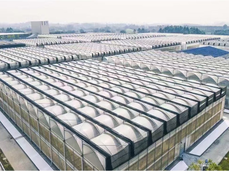 greenhouse made of pvc