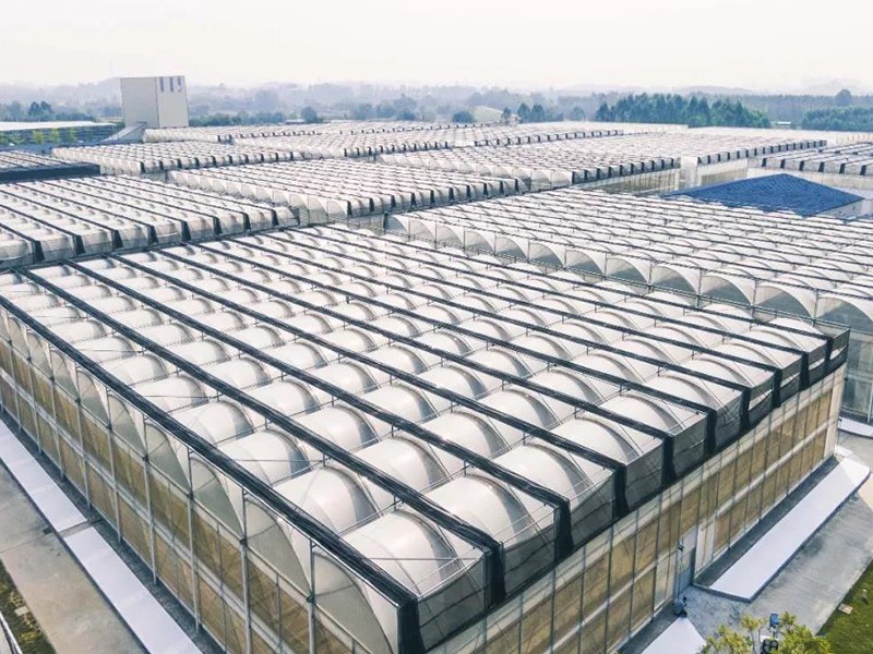 double layer poly greenhouse