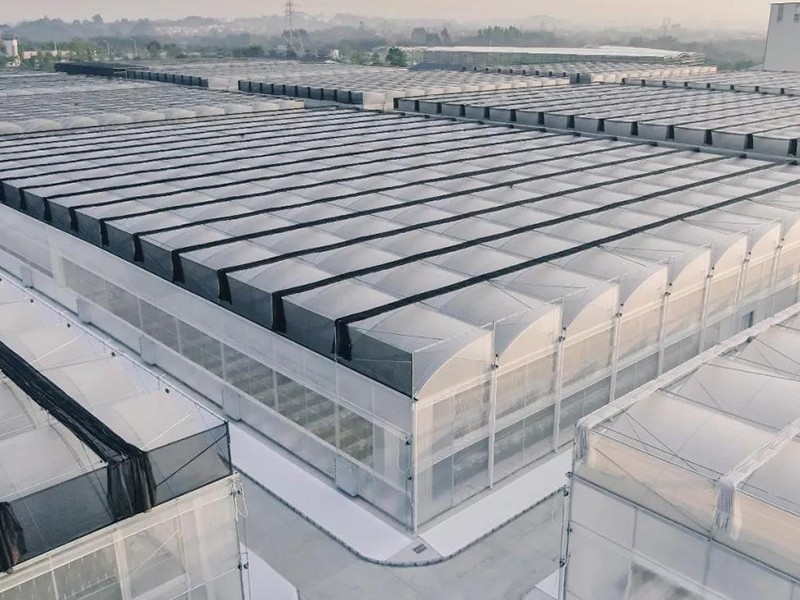 greenhouse made of plastic