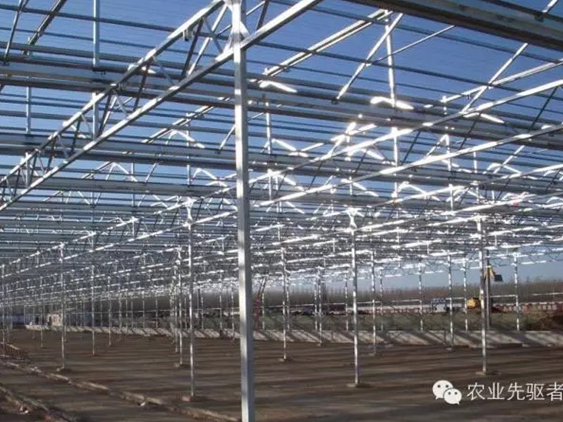 large glass greenhouse