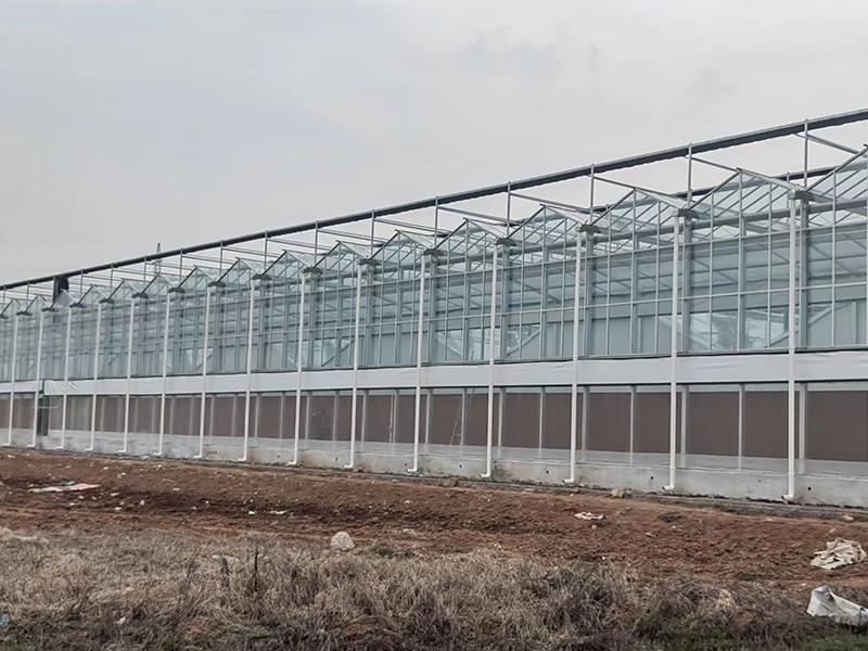 glass house for vegetables