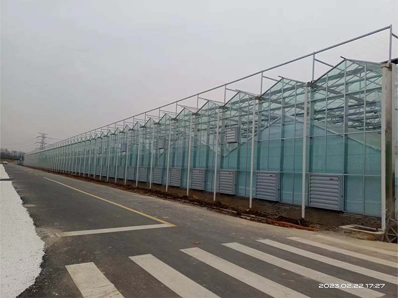 double glass greenhouse