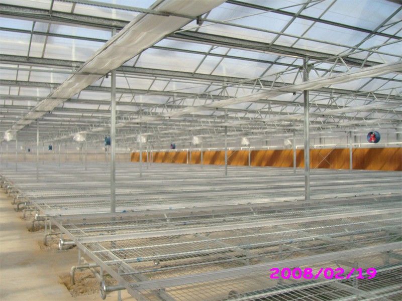polycarbonate tunnel greenhouse
