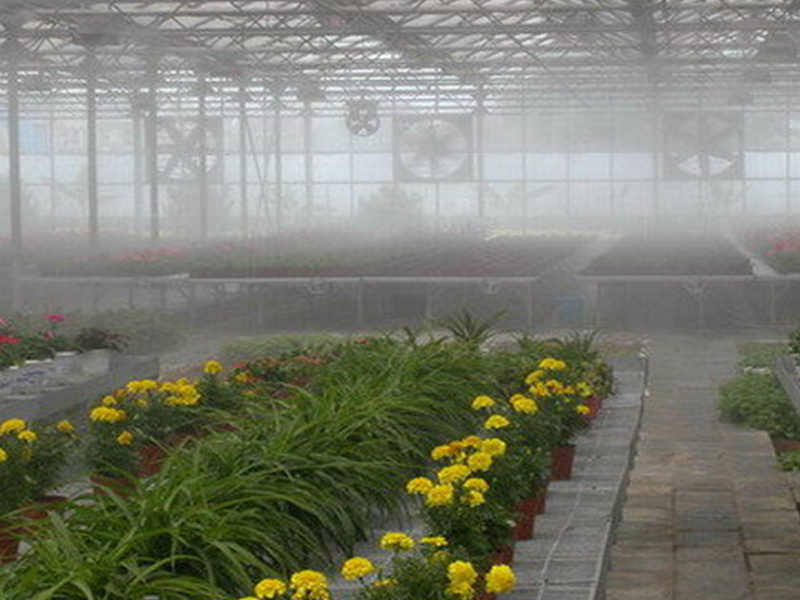 overhead sprinkler irrigation system for greenhouse overhead sprinkler irrigation system for greenhouse
