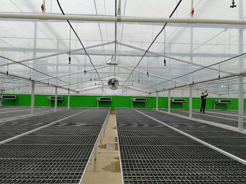 seed beds for planting