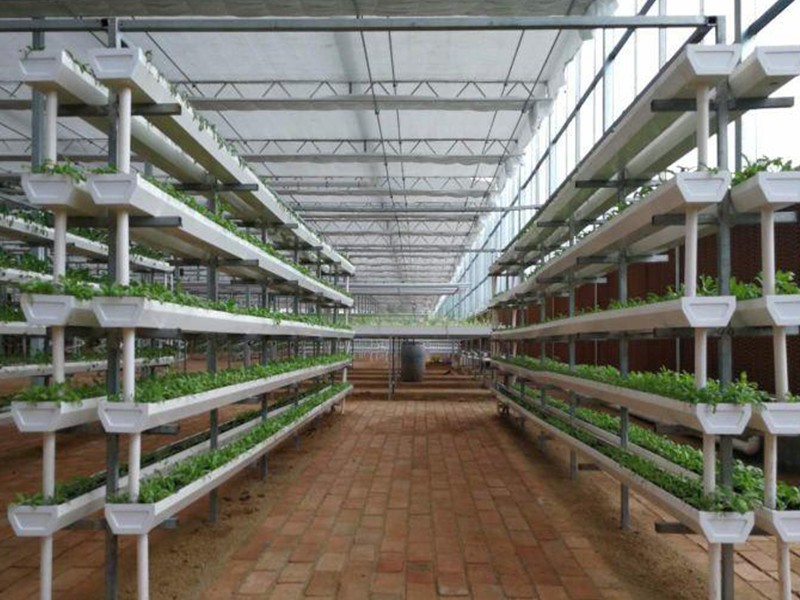 soilless planting soilless planting