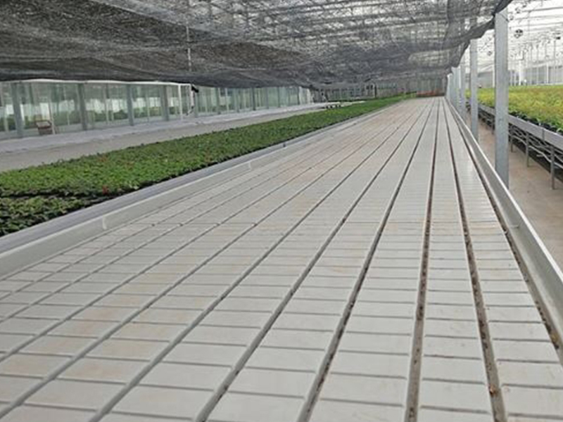 ebb and flow grow system