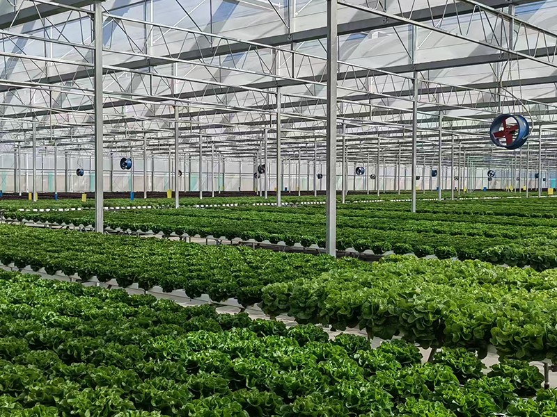 smart hydroponic system