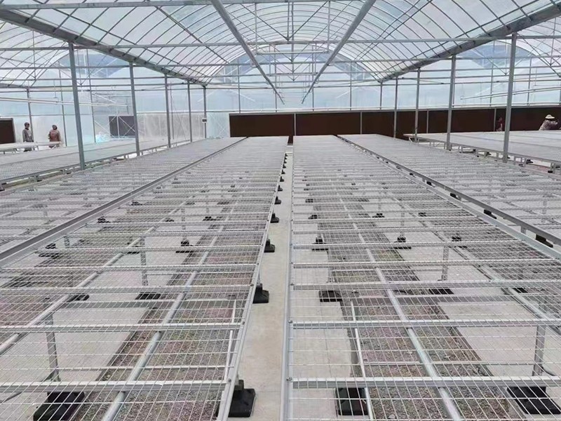 ebb and flow hydroponic system