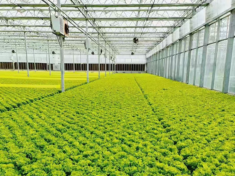 ebb and flow grow system