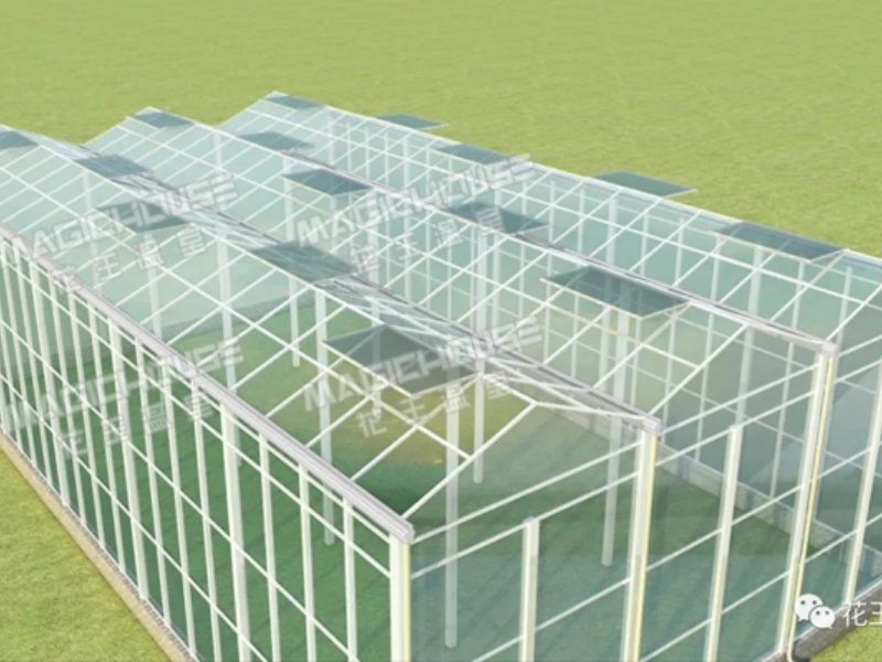 medium plastic greenhouse