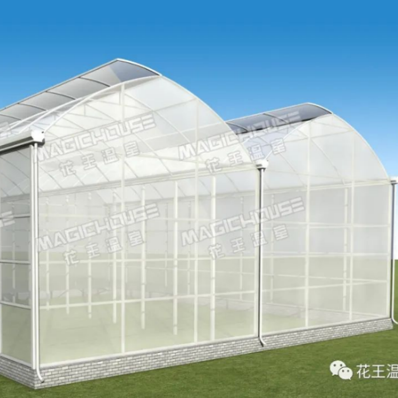 Large Span Plastic Greenhouse