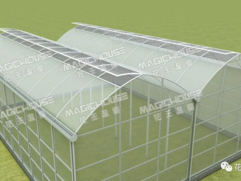 double layer polyethylene greenhouse