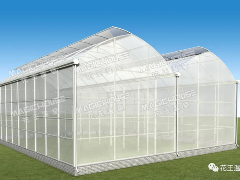 big plastic greenhouse