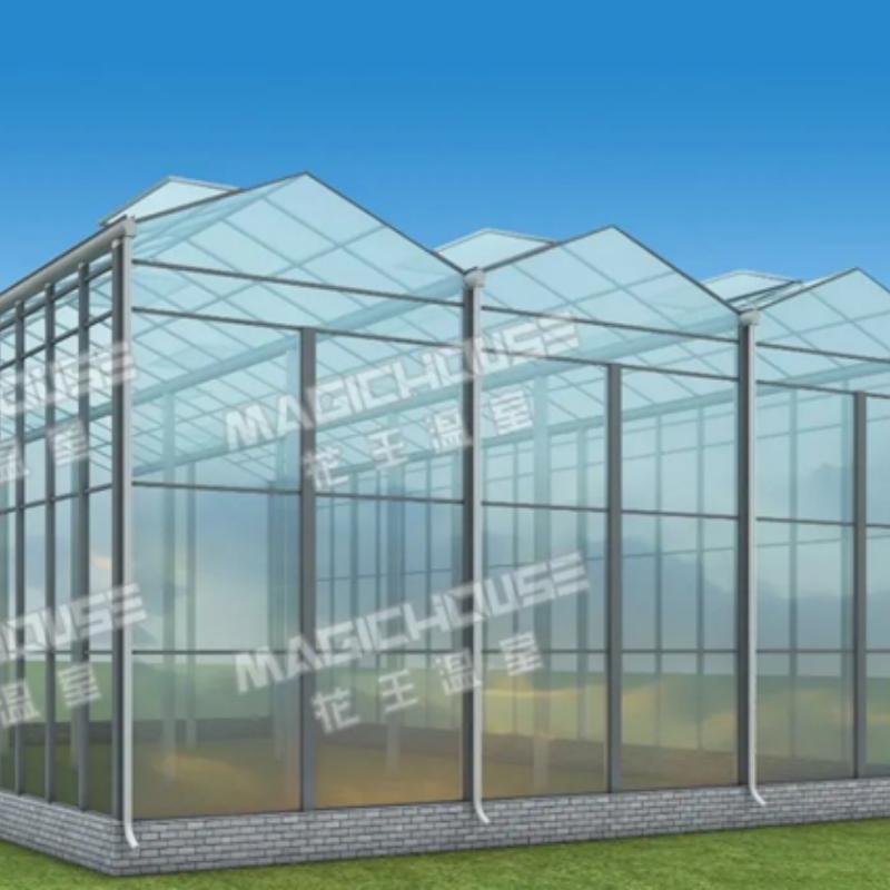 Venlo Plastic Greenhouse