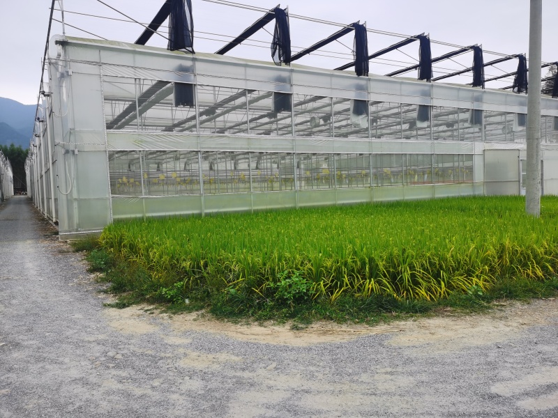 reinforced plastic greenhouse