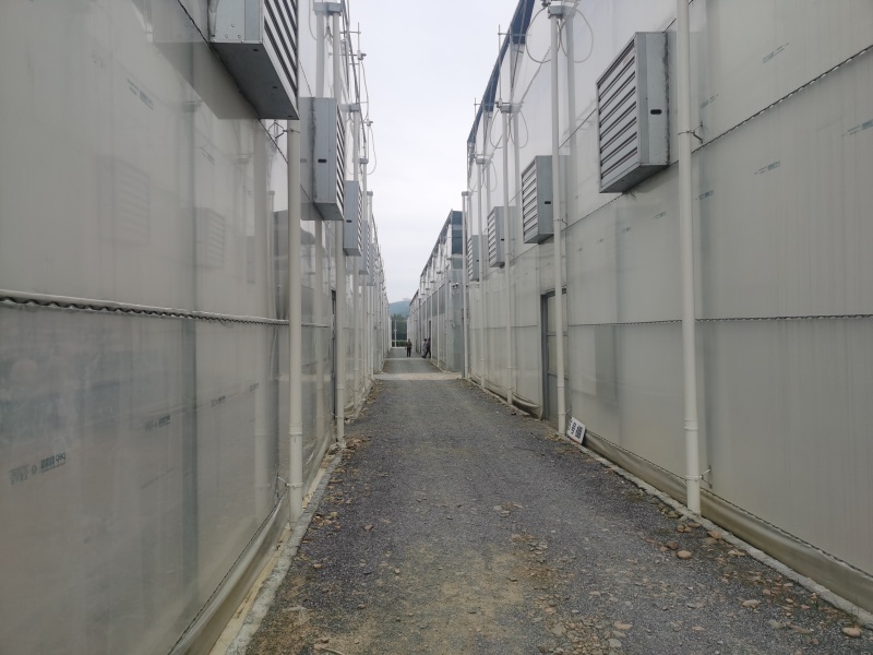 round plastic greenhouse