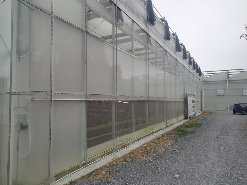 strong plastic greenhouse