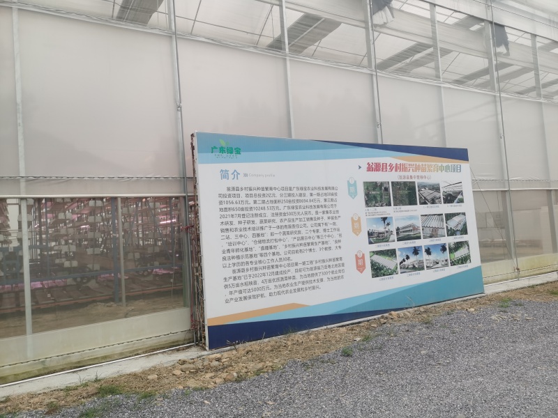 plastic polytunnel greenhouse