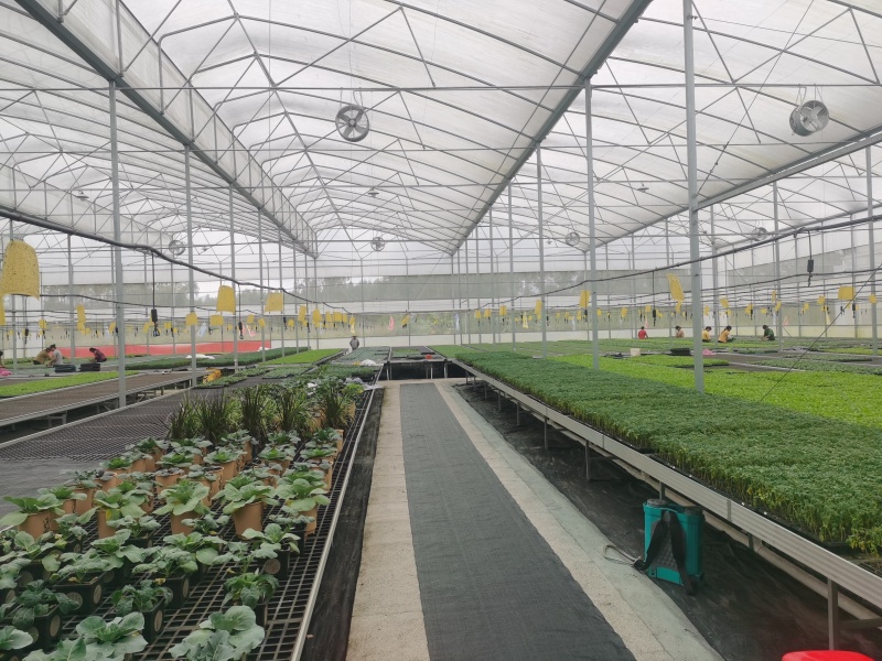 strong plastic greenhouse