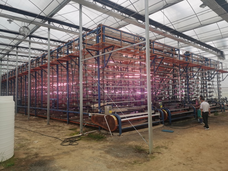polypropylene greenhouse